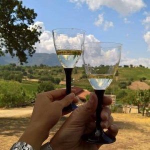 Non solo acciaio e alluminio: la guerra commerciale mette a rischio vino e cibo italiano