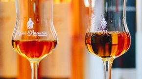 Viaggio tra i profumi della grappa: ecco le migliori distillerie d’Italia pronte ad accogliervi