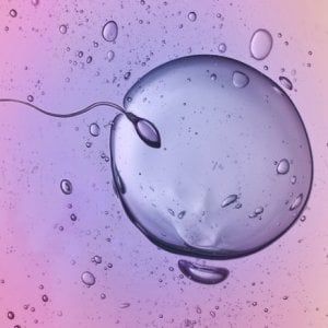 Malattie e infertilità, ora si pensa a un ovaio artificiale