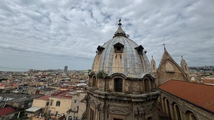 Napoli, spunta un nido di falchi tra i tetti della Cattedrale: “Piccoli pronti a involarsi”
