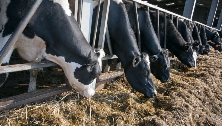  Agricoltura, costi produttivi crescono del 18,4% in tre mesi