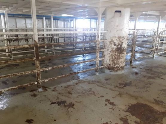 Il dramma dei migranti nel ventre della nave Talia
