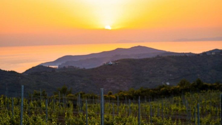 La Dieta Mediterranea in sette  parole 