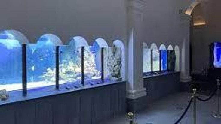 L'Acquario compie 150 anni, evento alla Stazione Anton Dohrn