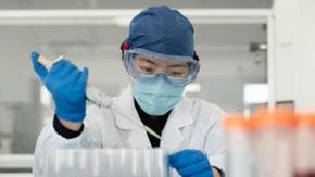 Virus Shamonda: confermato primo contagio umano, un morto a Lione