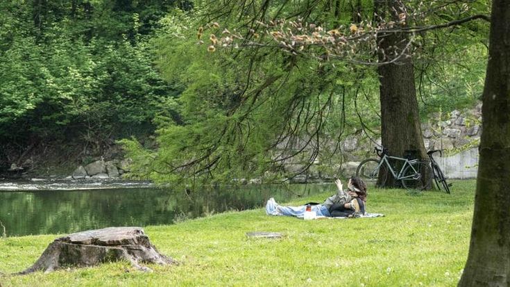Il progetto #RigeneraBoschi al Parco Nord: alberi più stabili e resistenti grazie alla tecnologia