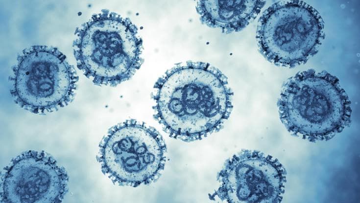 Hantavirus, positivi i dati su un vaccino a mRna per proteggere dalla malattia