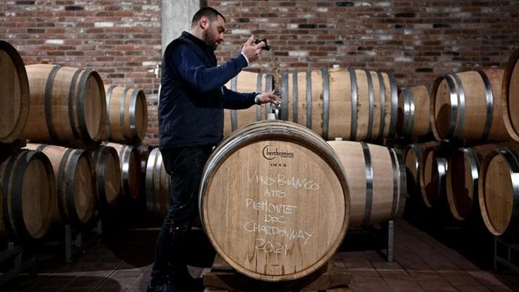 Il Piemonte in soccorso dei produttori di vino contro i dazi di Trump