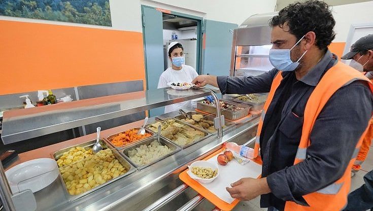 Aziende divise sul Green Pass in mensa. Il gruppo Coesia: "No alle discriminazioni", la Suba Seeds: "Pass o tampone a spese del lavoratore"