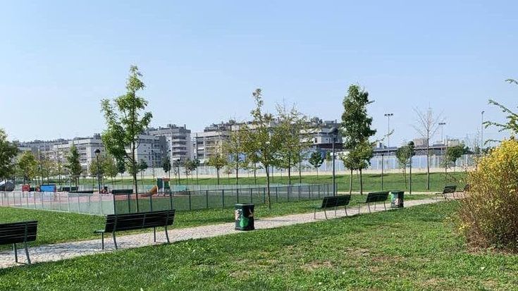Difende due ragazze dal branco, diciassettenne adescato online e pestato: sette arresti