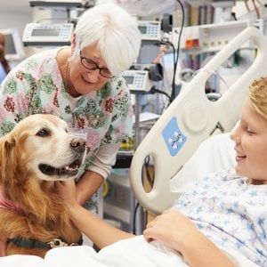 Cani, gatti e canarini potranno entrare negli ospedali piemontesi