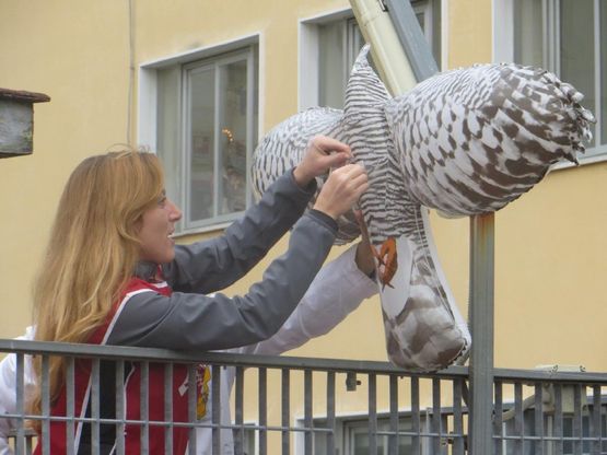 La Lipu regala un falco anti-piccioni al Santobono
