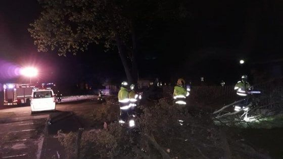 Maltempo in Lombardia, si contano i danni del vento: scuole chiuse a Magenta, disagi nel Varesotto