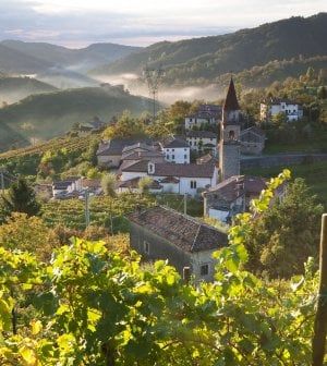 L'oro della Prosecco Valley: bollicine meglio dell'industria. Ecco i nuovi padroni del vino