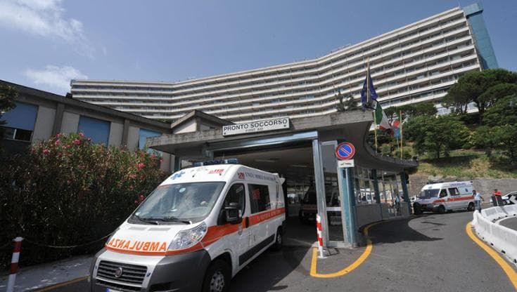 West Nile, primo morto a Genova. Bassetti: “Monitorare l’infezione”, scattano le disinfestazioni