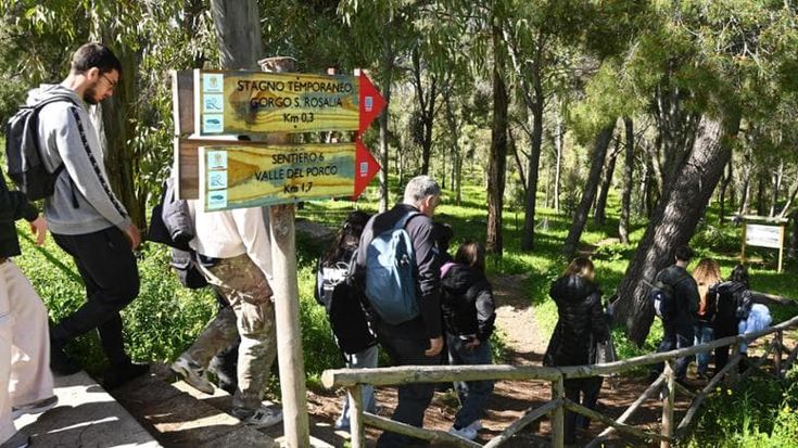 A lezione nel bosco per studiare la rinascita di Monte Pellegrino