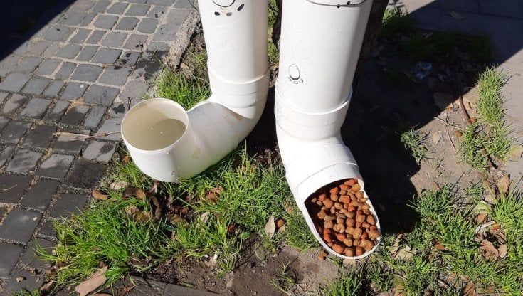 Somma Vesuviana, tubi per caditoie diventano dispenser di crocchette e acqua per cani randagi