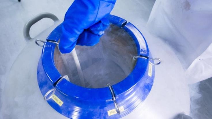 Procreazione assistita, sempre più donne congelano gli ovuli: +44% in un anno