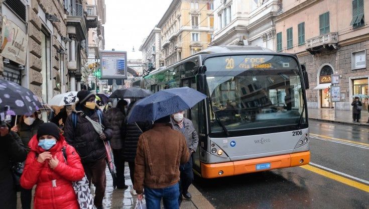 Amt, la lode del dubbio