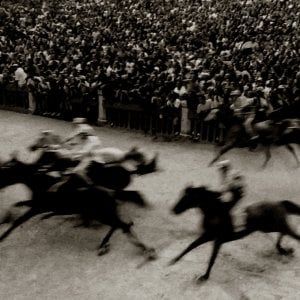 I cavalli di Marco Delogu, una mostra fotografica nella culla dell'ippica inglese
