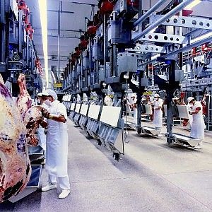 Cremonini si allea con Fsi e il Qatar per crescere nella distribuzione
