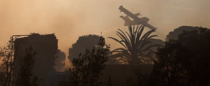 Incendi, Mattarella: "Chi li appicca criminale da punire severamente". Nuovo arresto in Calabria