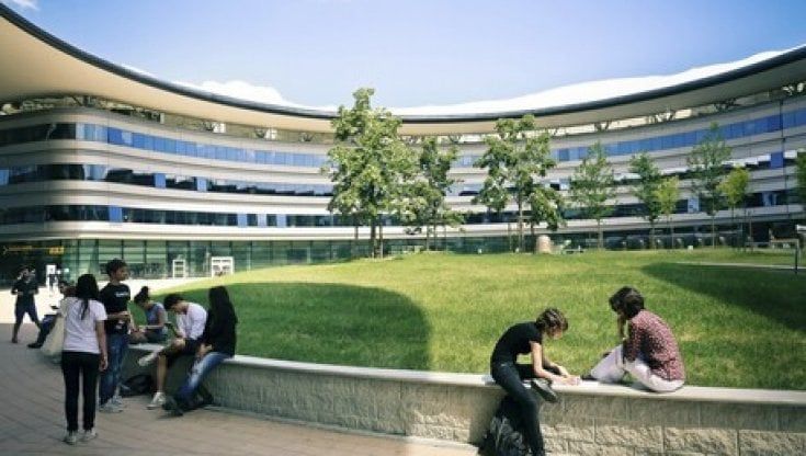 Chimica per la manifattura sostenibile, Scienza dei materiali, Scienze e tecnologie per la montagna e Tecniche di assistenza veterinaria i nuovi corsi dell'Università di Torino