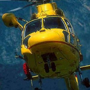 Mantova, allevatore muore dopo essere stato schiacciato da un gruppo di tori