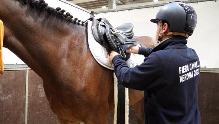Fieracavalli 22, i cavalli del Catria ripartono dopo l'alluvione: "La nostra fiera è saltata ma ora siamo qua"