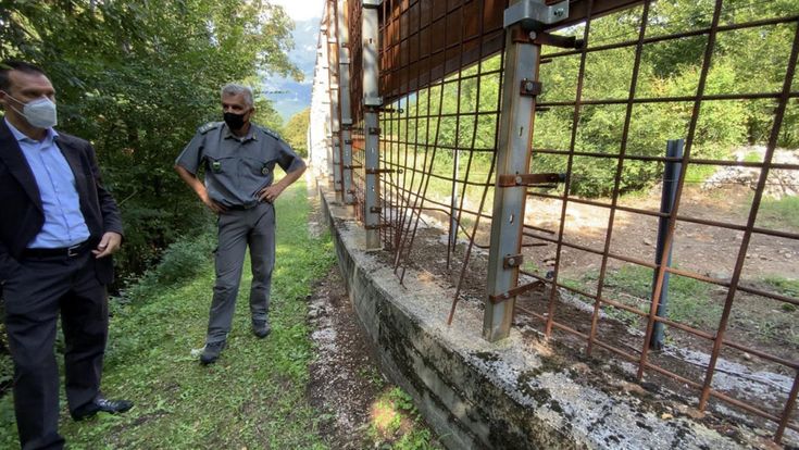 L'irriducibile orso M49 rompe la rete e torna libero
