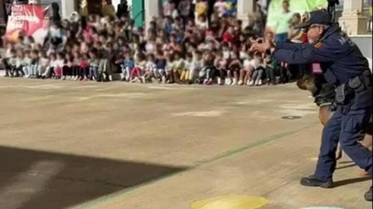 Spari a scuola, Schifani: “Profondo sconcerto, non c’è giustificazione. Accertare le responsabilità”