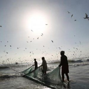 Mare Arabico, nelle sue acque una ‘zona morta’ che si espande sempre più