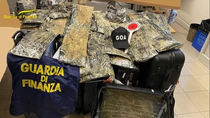 Droga, quelle valigie dal Sudafrica al Marconi