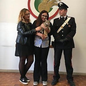 Mille euro per riavere il gatto, ricattatrice arrestata a Grugliasco