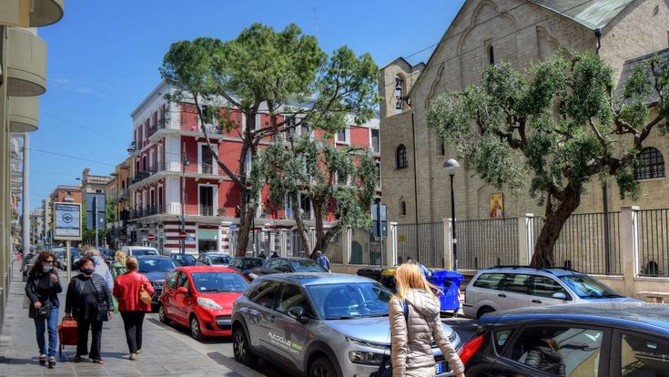 Bari, il quartiere Carrassi si prepara a un’estate in città. "Puntiamo sul verde" 