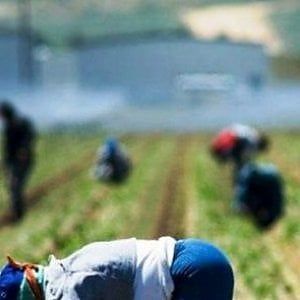 Latina, imprenditore agricolo non paga i braccianti e li travolge con la macchina, un ferito