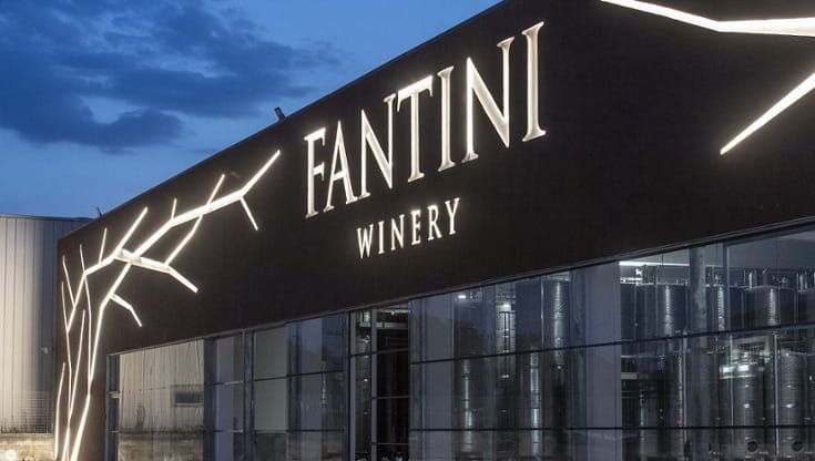Vino, Fantini premiata per governance e performance: confermata tra le eccellenze internazionali