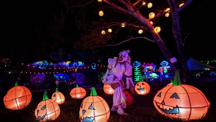 Halloween: fra degustazioni e laboratori le aziende agricole si affidano allo "zuccaturismo"