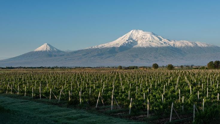 In Armenia, alla ricerca delle radici del vino fra le anfore della cantina più antica del mondo