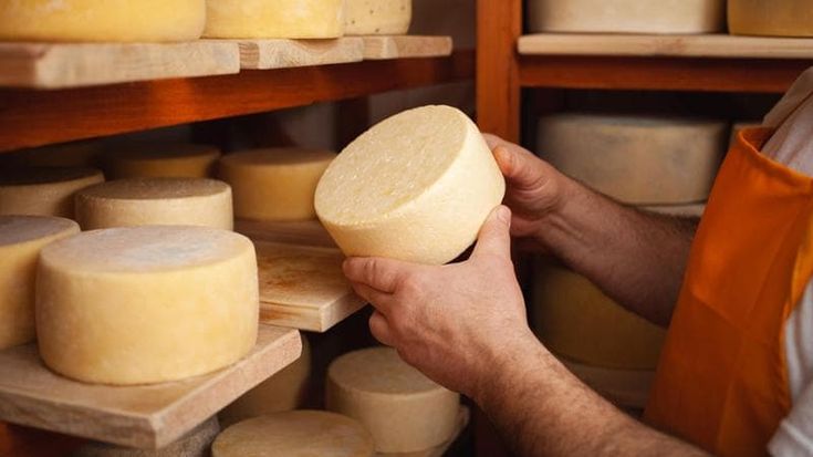In viaggio tra i sapori e i prodotti del Lazio con la nuova Guida di Repubblica