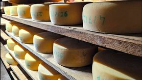 Ecco perché i formaggi d’alpeggio rischiano di scomparire