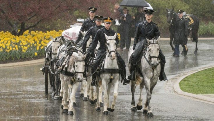 La storia più triste di Arlington, servizi funebri sospesi per proteggere i cavalli