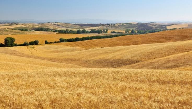 Il Sud cresce, la Sicilia meno. Crolla l’agricoltura, in calo l’industria