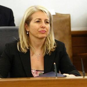 Ferranti: "Troppi 254 giorni dal primo annuncio sull'anticorruzione? Ma lavoriamo sodo"