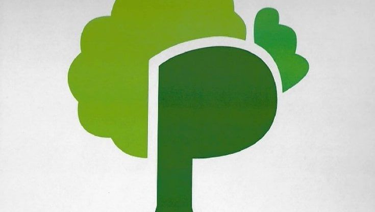 Pace è ecologia