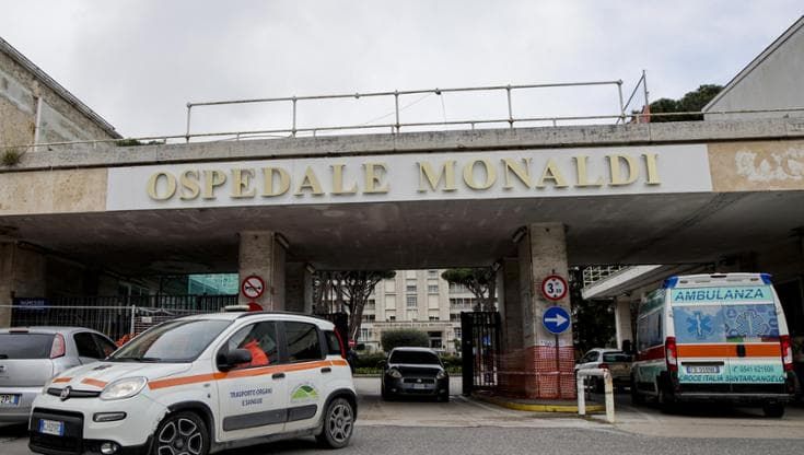 Domenico, sospesi Oppido e la chirurga Bergonzoni: “Hanno detto il falso”