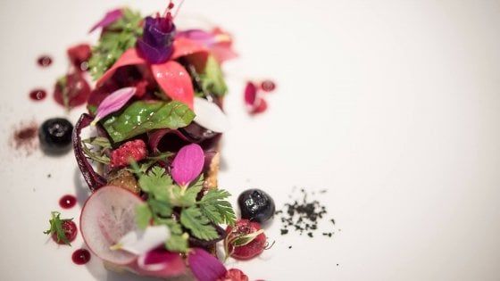 Magnolia a Cesenatico: quei piatti che omaggiano i grandi chef (e non serve il copyright)