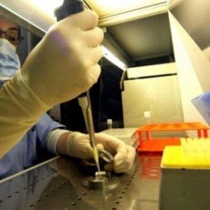 Colon irritabile, due nuove molecole potrebbero alleviare più sintomi nello stesso tempo