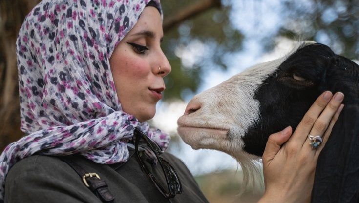 L'influencer musulmana e vegana salva l'agnellino dalla festa del Sacrificio. "Combatto per una religione cruelty free"