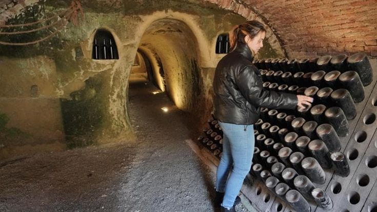 Aceto made in Piemonte, la mossa della Regione per aiutare le cantine a smaltire il vino in eccesso
